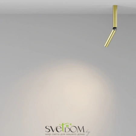 Потолочные светильники Maytoni C142CL-6W3K-BS от Магазина Svetdom.by