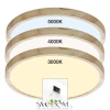 Citilux Бейсик CL738242V LED Светильник накладной Клён CITILUX