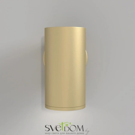 Настенные светильники C068WL-01MG Maytoni | Svetdom.by