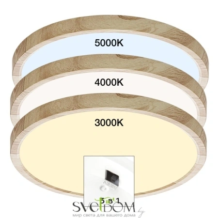 Citilux Бейсик CL738242V LED Светильник накладной Клён CITILUX
