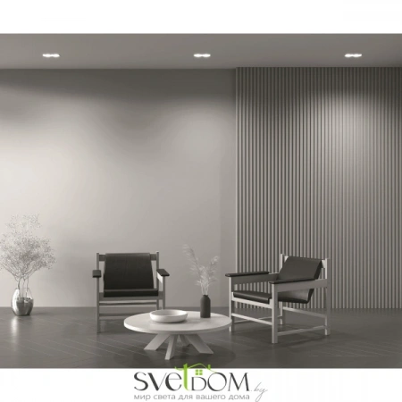 Встраиваемые светильники Maytoni DL029-2-02W от Магазина Svetdom.by