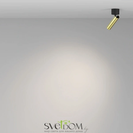 Потолочные светильники Maytoni C141CL-L125-6W4K-BBS от Магазина Svetdom.by