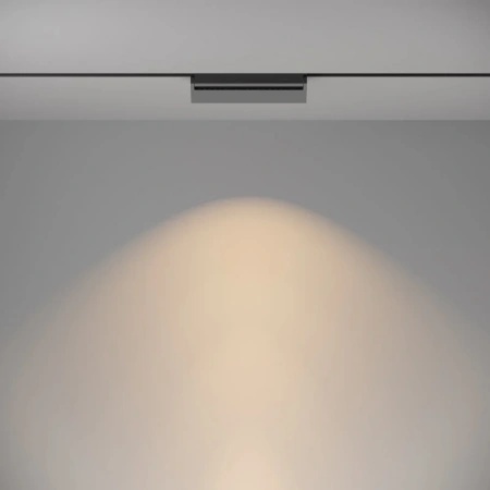 TR013-2-20W3K-B Maytoni