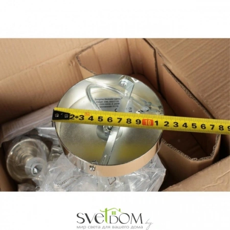 Люстры потолочныеOML-64317-05 Omnilux | Svetdom.by