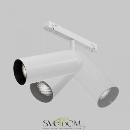 TR032-4-20WTW-M-DSZ-W Maytoni