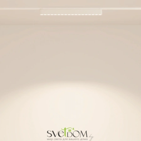 TR082-1-18W4K-M-W Maytoni