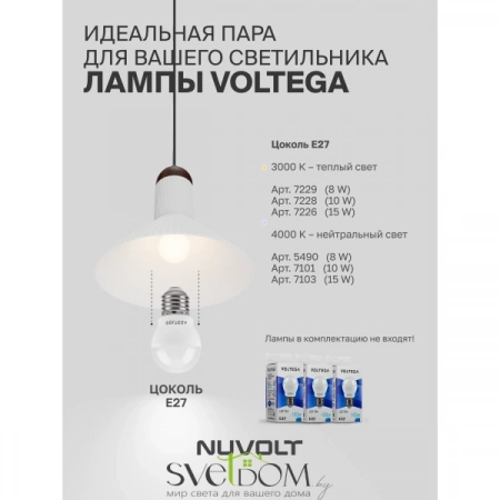 Подвесные светильники  LPL-004GR от Магазина Svetdom.by