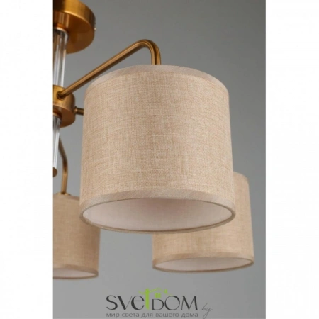 Люстры потолочныеOML-56907-05 Omnilux | Svetdom.by