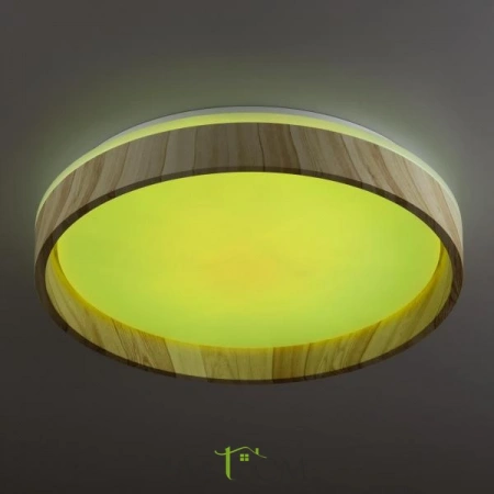 Потолочные светильники CITILUX CL753352G от Магазина Svetdom.by