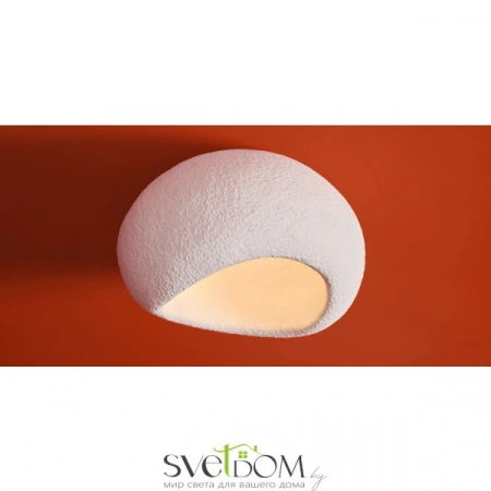 Потолочные светильники Freya FR5428CL-01W от Магазина Svetdom.by