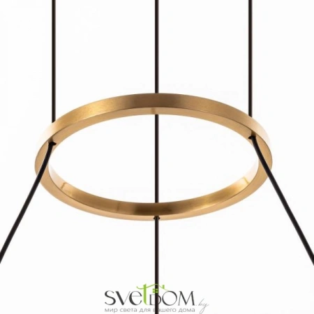 Люстры подвесныеCL211042 CITILUX | Svetdom.by