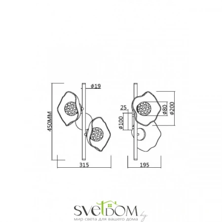 Настенные светильники MOD207WL-02BS Maytoni | Svetdom.by