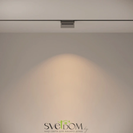 TR013-2-10W3K-B Maytoni