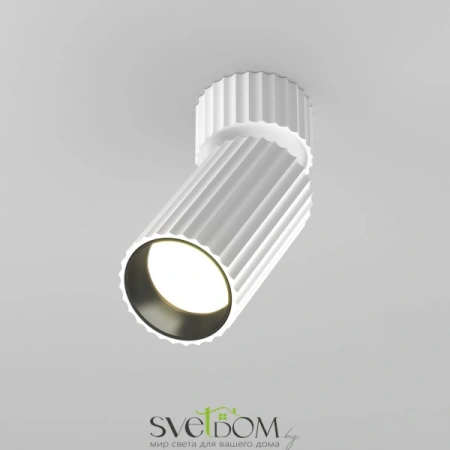 Потолочные светильники Maytoni C108CL-01-GU10-W от Магазина Svetdom.by