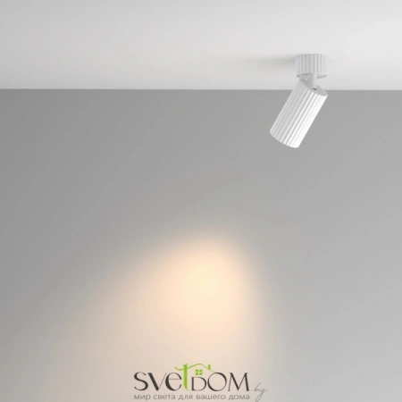 Потолочные светильники Maytoni C108CL-01-GU10-W от Магазина Svetdom.by