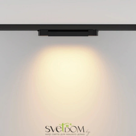 TR196-3-10W2.7K-B Maytoni