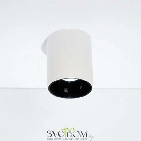 Накладные светильники CITILUX CL7440101 от Магазина Svetdom.by