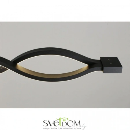 Настенно-потолочные светильники Aployt APL.002.12.36 от Магазина Svetdom.by