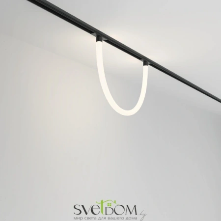 TR101-2-20W4K-B Maytoni