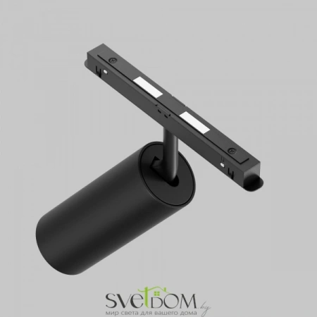 TR032-2-20W2.7K-M-B Maytoni