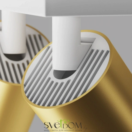 Потолочные светильники Maytoni C051CL-U-2WMG от Магазина Svetdom.by