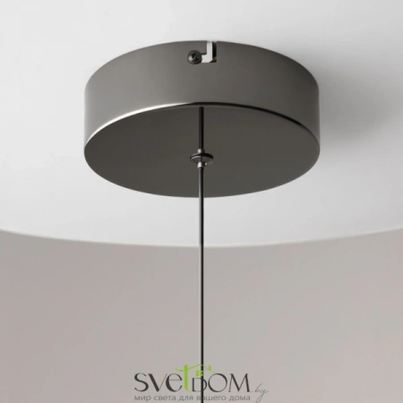 Подвесные светильники Maytoni MOD299PL-L10BC3K от Магазина Svetdom.by