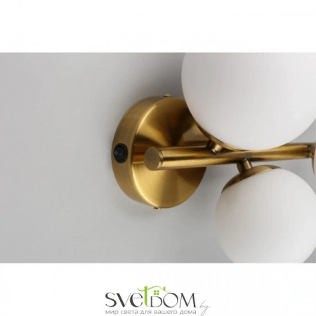 Настенные светильники APL.314.01.03 Aployt | Svetdom.by