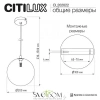 Подвесные светильники CITILUX CL202022 от Магазина Svetdom.by