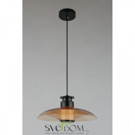 Подвесные светильники Aployt APL.648.16.10 от Магазина Svetdom.by