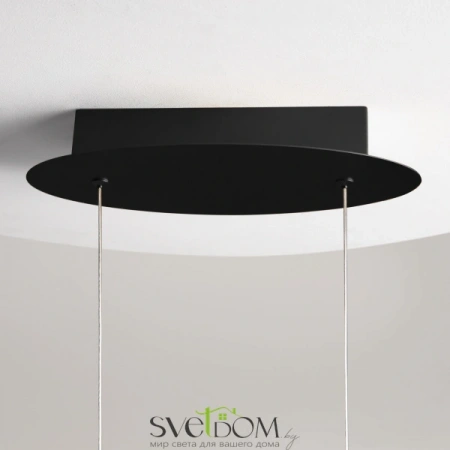 Подвесные светильники Maytoni MOD156PL-L52B4K от Магазина Svetdom.by