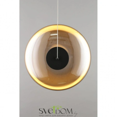 Светильник подвесной Aployt  APL.063.16.18 Aployt