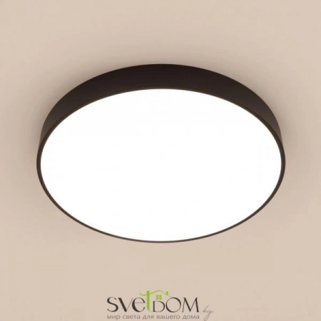 Потолочные светильники CITILUX CL72495G1 от Магазина Svetdom.by