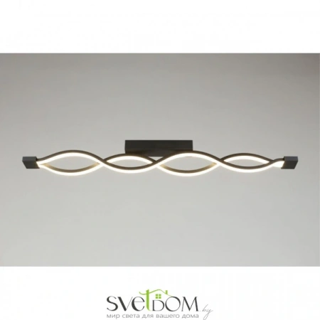 Настенно-потолочные светильники Aployt APL.002.12.36 от Магазина Svetdom.by