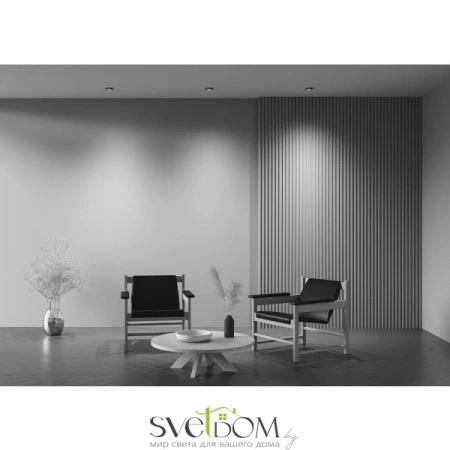 Встраиваемые светильники Maytoni DL045-01-10W3K-B от Магазина Svetdom.by