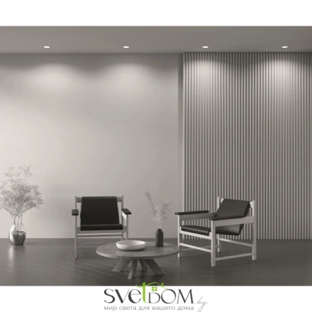 Встраиваемые светильники Maytoni DL028-2-01B от Магазина Svetdom.by