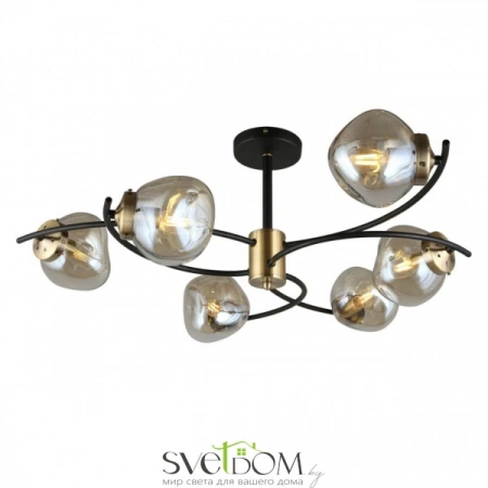 Люстры потолочныеOML-95307-06 Omnilux | Svetdom.by