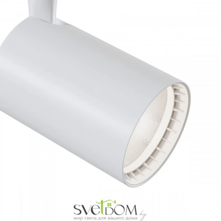 TR003-1-12W3K-W Maytoni