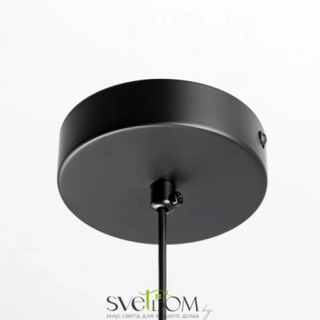 Подвесные светильники CITILUX CL202021 от Магазина Svetdom.by