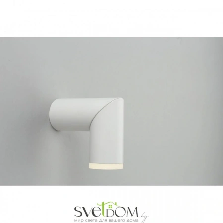 Накладные светильники Omnilux OML-100209-10 от Магазина Svetdom.by