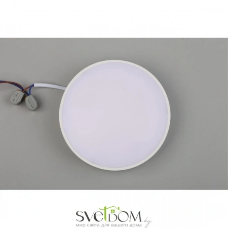 Настенно-потолочные светильники Aployt APL.0113.09.18 от Магазина Svetdom.by