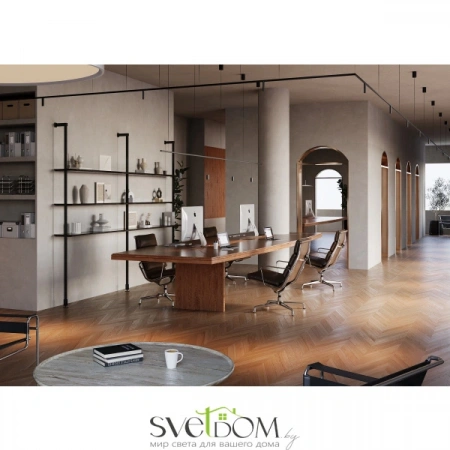 Светильники Maytoni C102CL-3W3-6K-BS от Магазина Svetdom.by