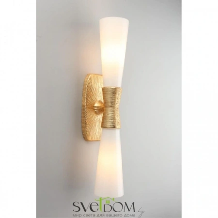 Настенные светильники APL.800.01.02 Aployt | Svetdom.by