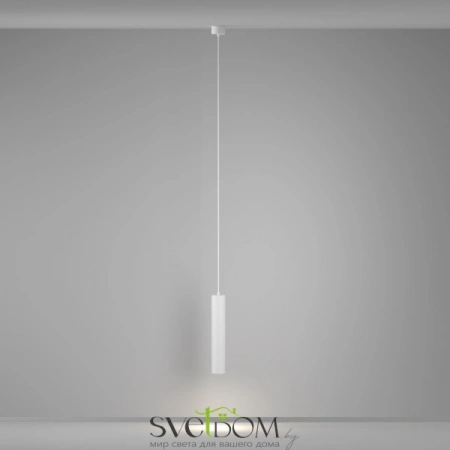 Подвесные светильники Maytoni P082PL-GU10-W от Магазина Svetdom.by