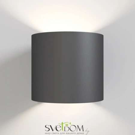 Настенные светильники C066WL-01B Maytoni | Svetdom.by