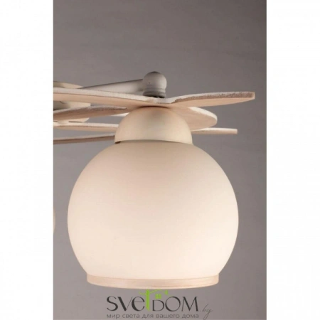 Люстры потолочныеOML-50517-05 Omnilux | Svetdom.by