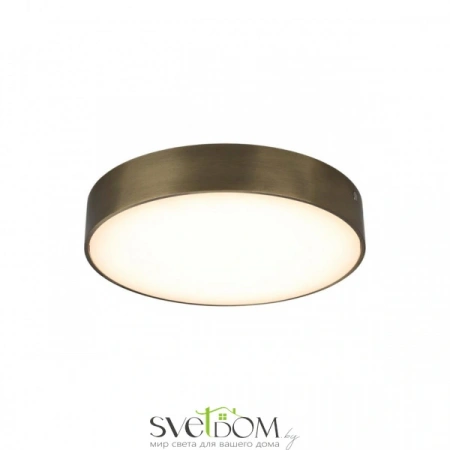 Настенно-потолочные светильники Aployt APL.0113.29.24 от Магазина Svetdom.by