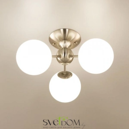 Люстры потолочныеCL102134 CITILUX | Svetdom.by