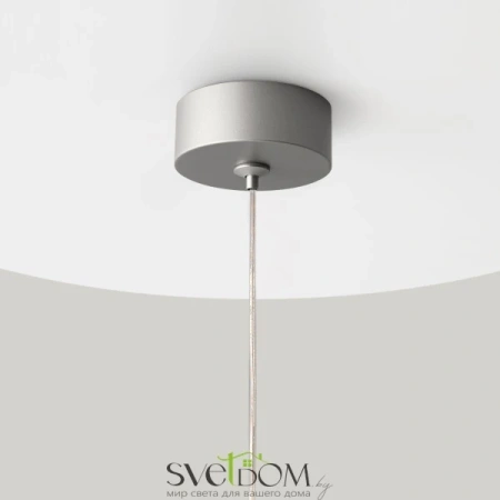Подвесной светильник Maytoni P088PL-GX53-S Maytoni