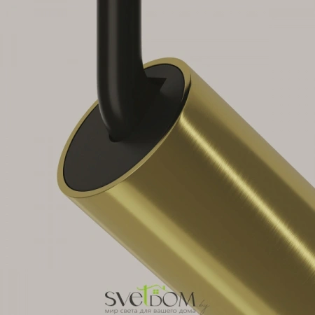 TR032-2-12W3K-M-BBS Maytoni