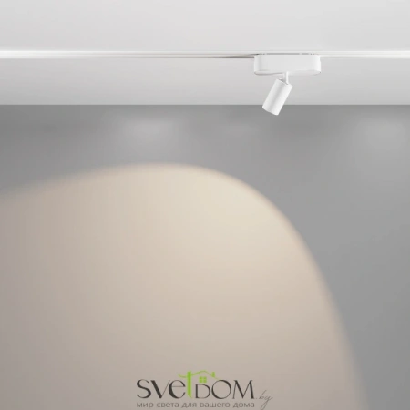 TR103-1-5W4K-M-W Maytoni